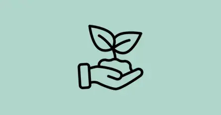 Környezetmérnöki Tanszék