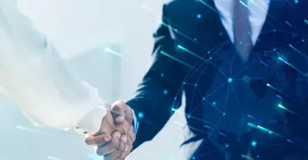 Állandó partnereink