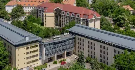 Kollégium és szociális támogatás